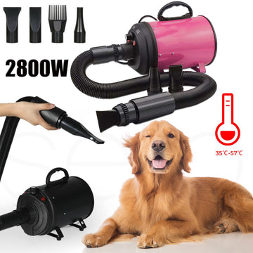 2800W Dog Dryer High Velocity Pet Dog Pet Blow Dryer Adjustable Speed 4 Nozzles Petsleisure
